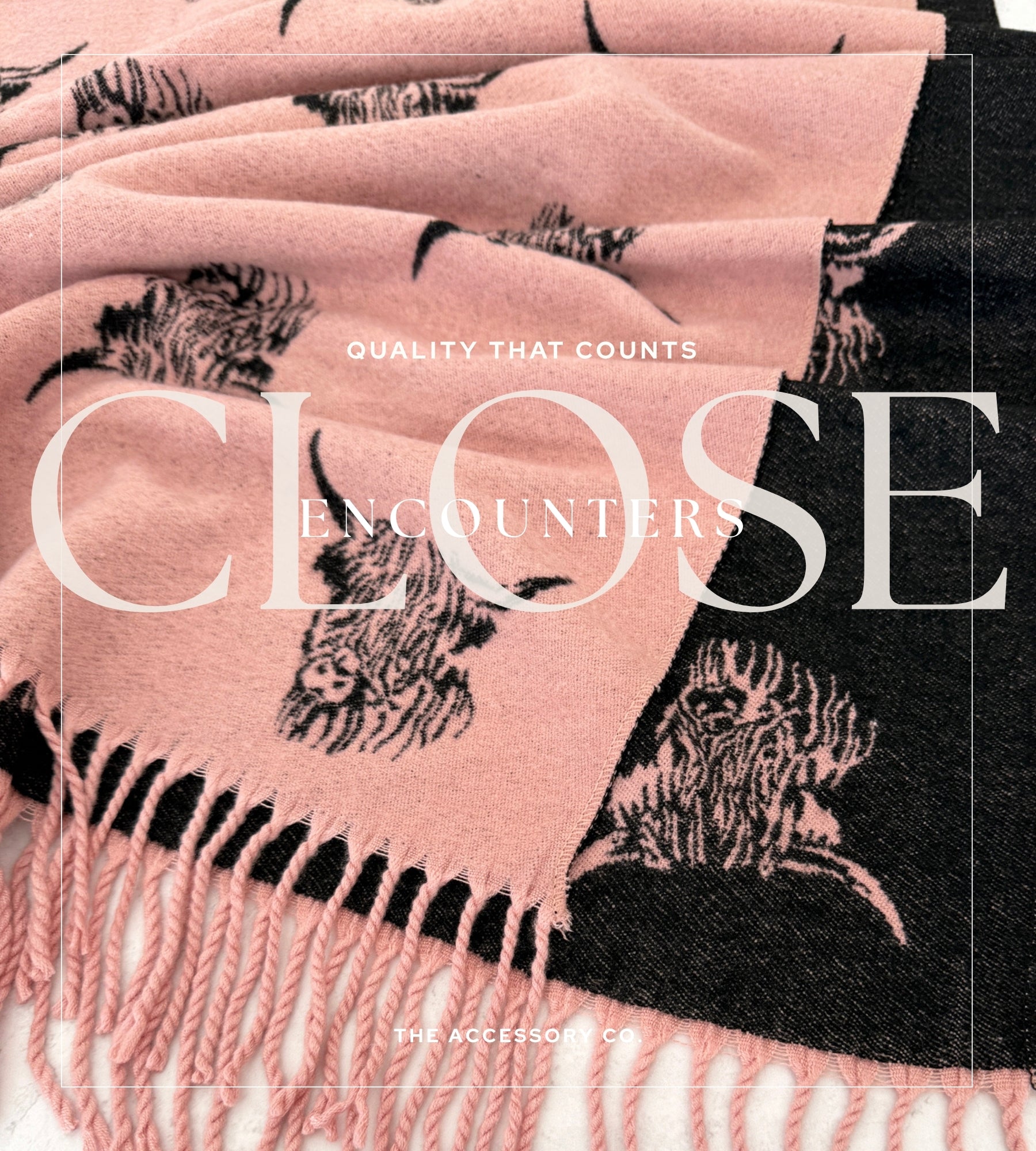 CASHMERE HIGHLAND COW PRINT REVERSIBLE WINTER SHAWL BLANKET SCARF - PINK